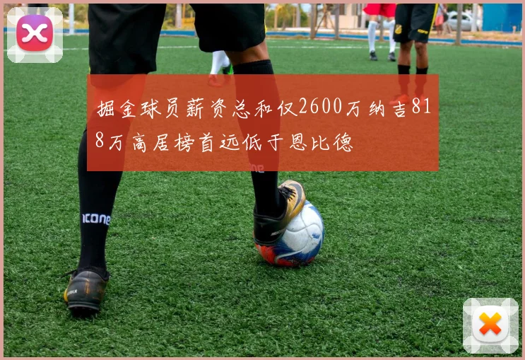 掘金球员薪资总和仅2600万纳吉818万高居榜首远低于恩比德