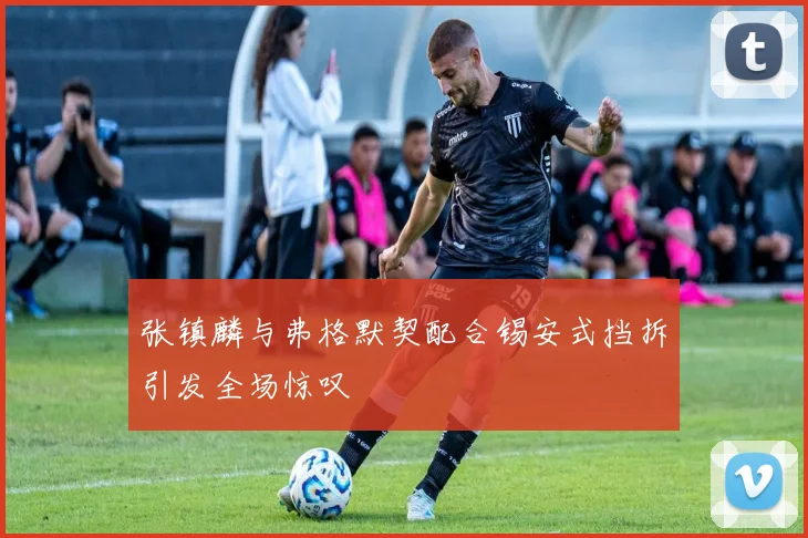 张镇麟与弗格默契配合锡安式挡拆引发全场惊叹
